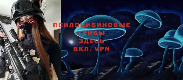2c-b Алзамай