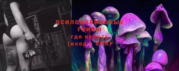 хмурый Алексеевка